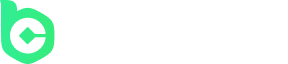 Логотип BC.GAME в верхней части страницы